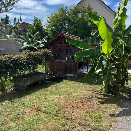 Charmante Maison Alsacienne Proche Europa Park Ohnenheim